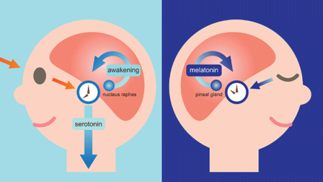 I benefici del sonno - Silvia Iaccarino