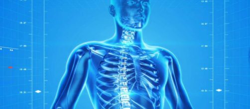 Ecco un nuovo organo del corpo umano: l'interstizio - Wired - wired.it