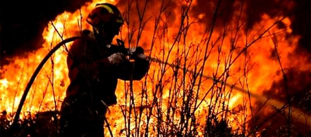 Durante o ano de 2017 foram registadas 17.556 ocorrências de incêndios florestais Durante o ano de 2017 foram registadas 17.556 ocorrências de incêndios florestais