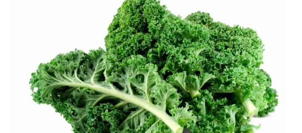 El kale se ha convertido en la verdura reina de los super alimentos. El kale se ha convertido en la verdura reina de los super alimentos.