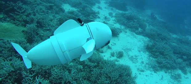 El pez robot que explora el fondo del océano. El pez robot que explora el fondo del océano.