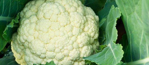 La coliflor es una variedad de col, considerada la más exquisita entre todas ellas La coliflor es una variedad de col, considerada la más exquisita entre todas ellas