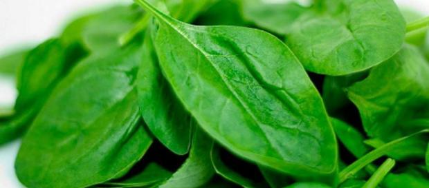 La espinaca es una buena fuente de Vitamina K, la cual, funciona en la retención de calcio en la matriz ósea La espinaca es una buena fuente de Vitamina K, la cual, funciona en la retención de calcio en la matriz ósea