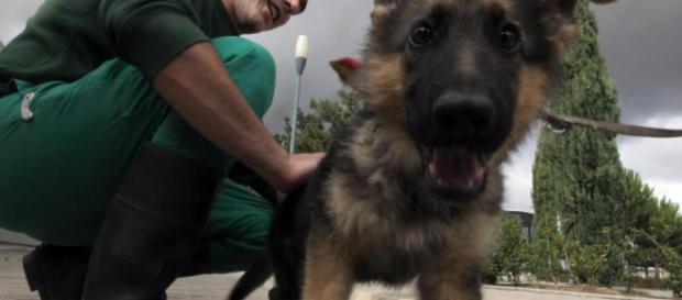 Todas las multas de la Comunidad de Madrid por maltratar a una ... - elmundo.es Todas las multas de la Comunidad de Madrid por maltratar a una ... - elmundo.es