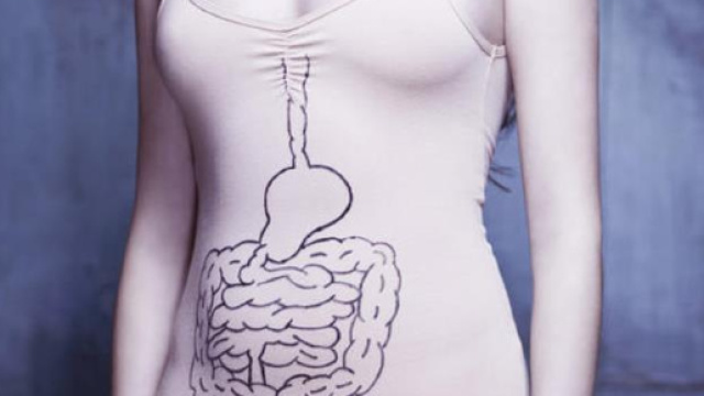 Lo studio del corpo umano continua a stupirci: scoperto un nuovo organo (fonte marieclaire.it)