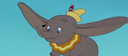 In arrivo nel 2019 il nuovo film Disney: Dumbo