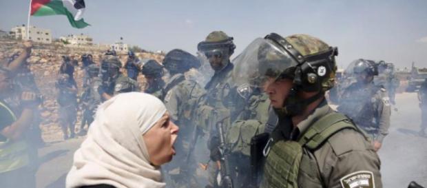 IDF to probe death of Palestinian female bystander - Israel News ... - jpost.com IDF to probe death of Palestinian female bystander - Israel News ... - jpost.com