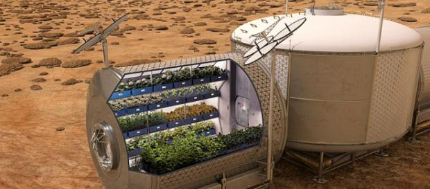NASA plans to grow food on future spacecraft and on other planets (Image credit - NASA, Wikimedia Commons) NASA plans to grow food on future spacecraft and on other planets (Image credit - NASA, Wikimedia Commons)