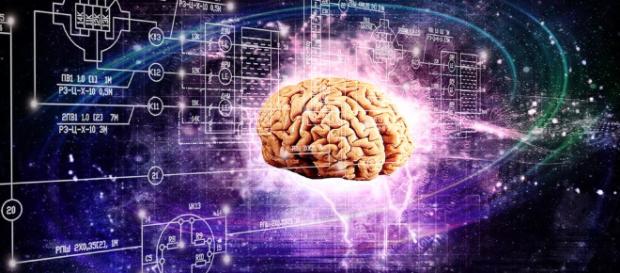 Conectan un cerebro humano a internet en tiempo real – Asombrosamente - asombrosamente.co Conectan un cerebro humano a internet en tiempo real – Asombrosamente - asombrosamente.co