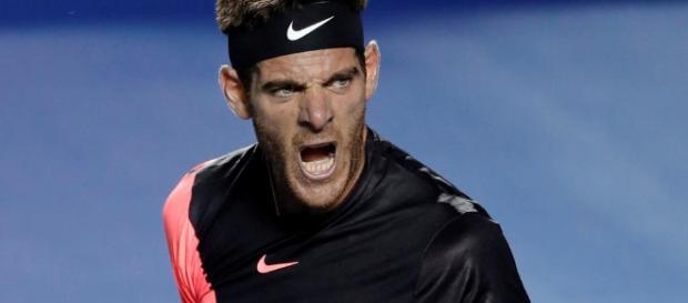 Juan Martín del Potro se consagró campeón del abierto de Acapulco, México Juan Martín del Potro se consagró campeón del abierto de Acapulco, México