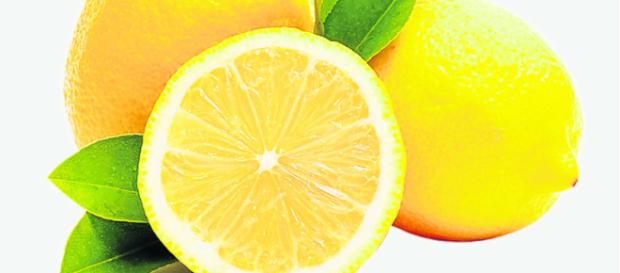 Nuevo estudio encuentra relación entre el limón y el menor riesgo de contraer cáncer Nuevo estudio encuentra relación entre el limón y el menor riesgo de contraer cáncer