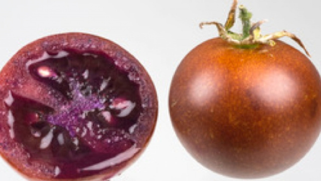 Contro le infiammazioni croniche intestinali c'è il pomodoro bronzeo