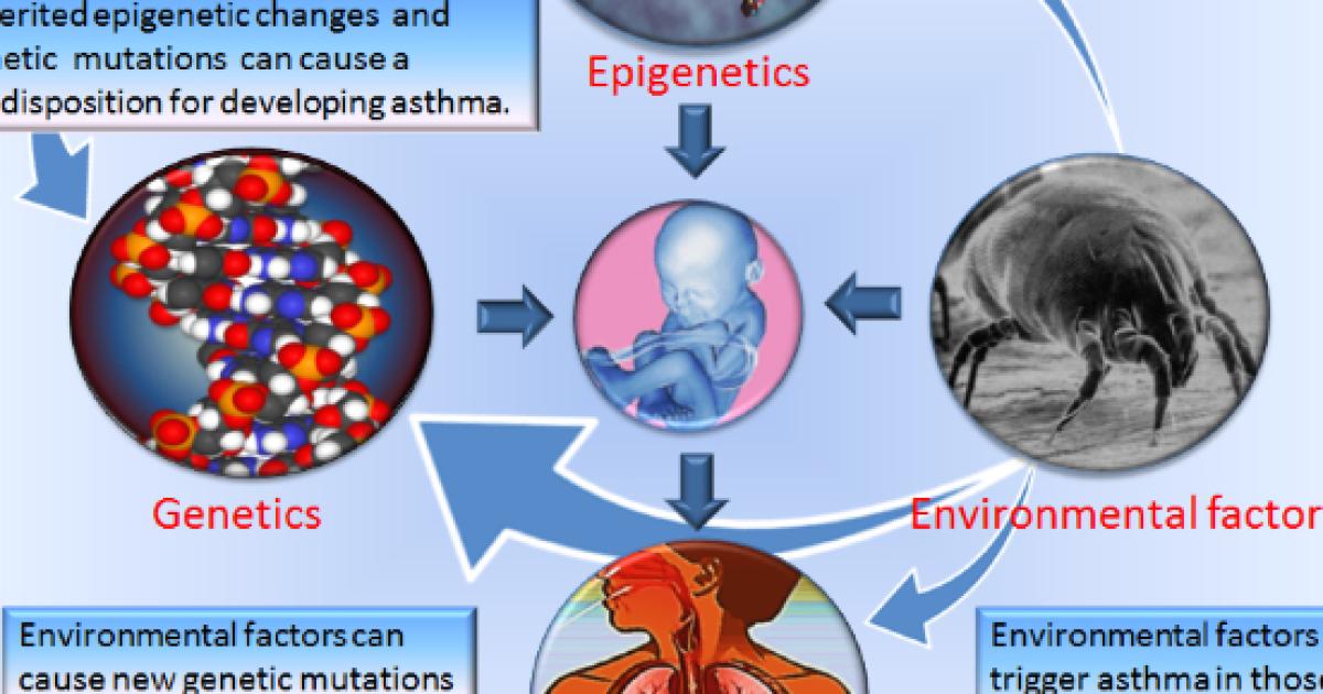 How to decode different coughs in babies