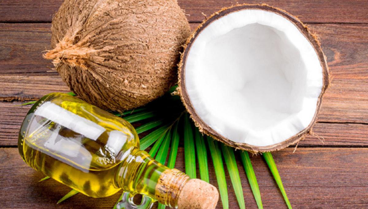 Para q sirve el aceite de cocodrilo