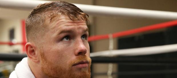 Carrera del peleador Canelo Alvarez en juego con prueba positiva al clenbuterol Carrera del peleador Canelo Alvarez en juego con prueba positiva al clenbuterol