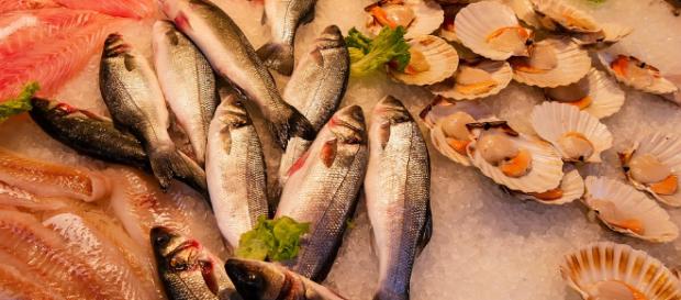 The US is in need of more sustainable aquaculture practices (Photocredit - Public Domain - Pixabay) The US is in need of more sustainable aquaculture practices (Photocredit - Public Domain - Pixabay)