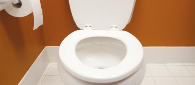 cosas más sucias que un inodoro | 10 Curiosidades - 10curiosidades.com cosas más sucias que un inodoro | 10 Curiosidades - 10curiosidades.com