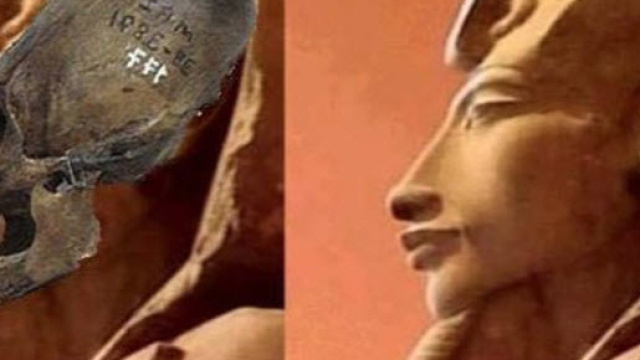 Glli alieni erano ibridi umano-alieni?