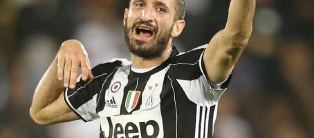 Giorgio Chiellini sabía que la Juventus ganaría Giorgio Chiellini sabía que la Juventus ganaría