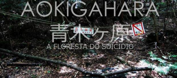 Aokigahara - A floresta do suicídio 1 Aokigahara - A floresta do suicídio 1