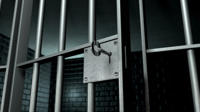 Bozovic è rimasto in carcere per 17 mesi, tra il 2012 e il 2013