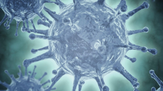 Epatite C: verso la guarigione completa anche nei pazienti più ... - panorama.it