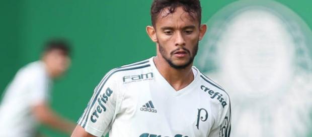 O meia chegou com moral no Verdão O meia chegou com moral no Verdão