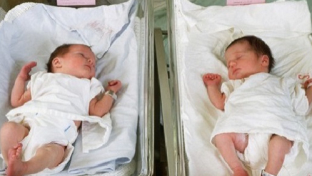 Uno dei due gemelli non pu&ograve; avere il codice fiscale.