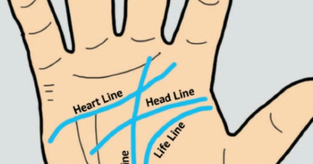 The lines in your palm can unveil secrets about your life