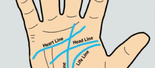 What your palm reveals about you. - [Image Credit: Paul Tassi / YouTube Screenshot]