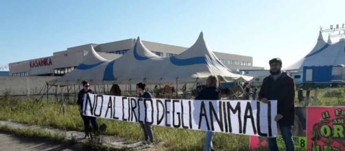 Lecce, contestazioni al circo Marina Orfei. ... - lecceprima.it