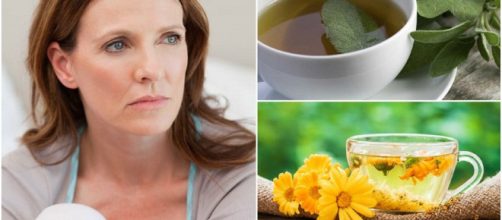 Remedios naturales para reducir los síntomas de la menopausia
