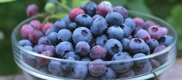 lo que los arandanos hacen por nuestra salud| Salud - facilisimo.com lo que los arandanos hacen por nuestra salud| Salud - facilisimo.com