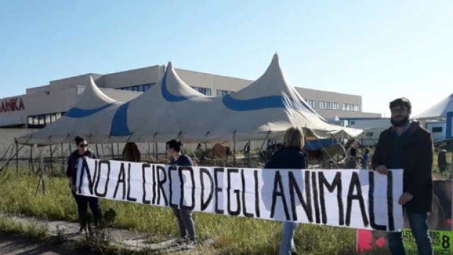 Lecce, contestazioni al circo Marina Orfei. ... - lecceprima.it