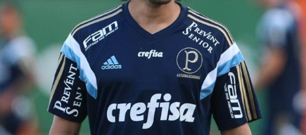 A maior patrocinadora do Verdão é a Crefisa A maior patrocinadora do Verdão é a Crefisa