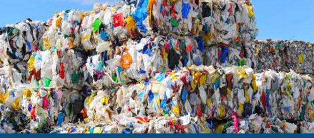 Jeder EU-Einwohner nutzt jährlich 198 Plastiksackerl « DiePresse.com - diepresse.com Jeder EU-Einwohner nutzt jährlich 198 Plastiksackerl « DiePresse.com - diepresse.com