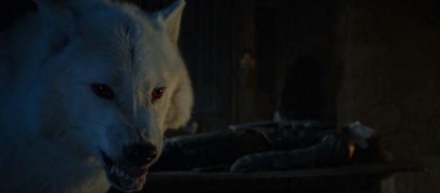 Juego de Tronos: ¿qué posibilidad tienen Nymeria y Fantasma de salir con vida? Juego de Tronos: ¿qué posibilidad tienen Nymeria y Fantasma de salir con vida?