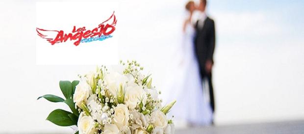 Les Anges 10 : une candidate annonce son mariage ! Les Anges 10 : une candidate annonce son mariage !