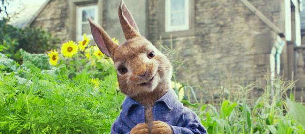 Trailer du film Pierre Lapin - Pierre Lapin Bande-annonce (3) VF ... - allocine.fr Trailer du film Pierre Lapin - Pierre Lapin Bande-annonce (3) VF ... - allocine.fr