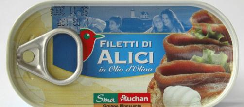 Canned fillets of Anchovies (Image credit – AlMare, Wikimedia Commons)
