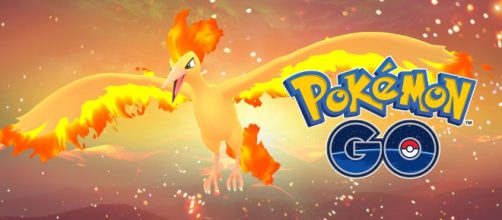 Moltres: Pokemon recompensa de la investigación y truco de los sellos