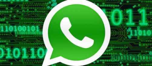 WhatsApp, arriva la funzione delle etichette colorate