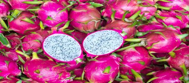 Pitaya é rica em nutrientes e combate várias doenças. Pitaya é rica em nutrientes e combate várias doenças.