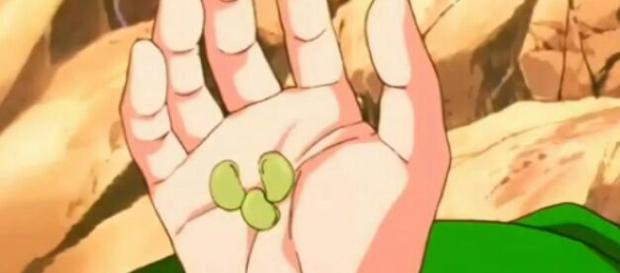 Dragon Ball: las semillas Senzu Dragon Ball: las semillas Senzu