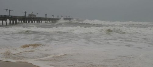 Waves crash into the pier at Panama City Beach as a hurricane approaches the Gulf Coast (Image Credit :Jacqui Barker/Wikimedia Commons)