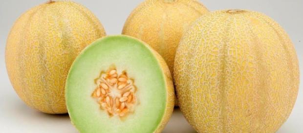 El melón, una fruta con muchos beneficios El melón, una fruta con muchos beneficios