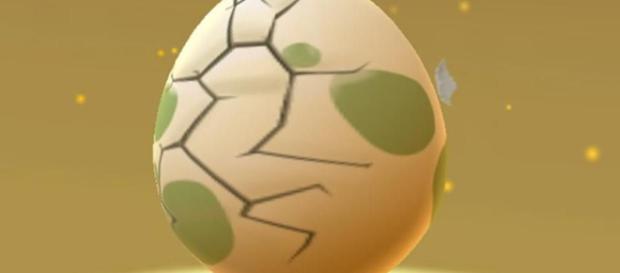 Las incubadoras de huevos están disponibles como compras premium. Las incubadoras de huevos están disponibles como compras premium.