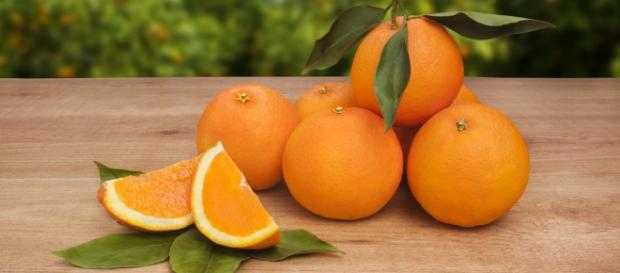 La naranja debe ser incluida en la dieta diaria. - saludynegociosenred.com La naranja debe ser incluida en la dieta diaria. - saludynegociosenred.com