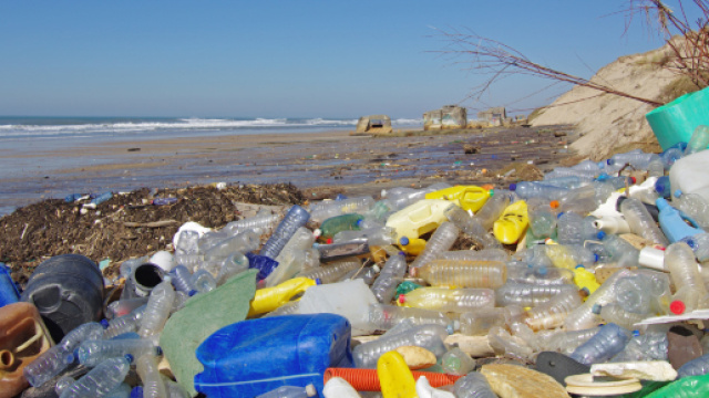 plastique à usage unique dans le collimateur de la Commission ... - actu-environnement.com