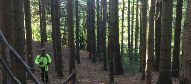 “trappole” per le mountain bike nei boschi di Pollino. foto - lastampa.it “trappole” per le mountain bike nei boschi di Pollino. foto - lastampa.it